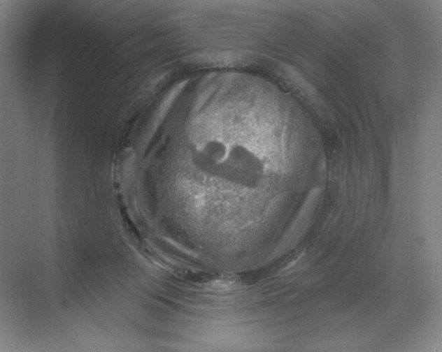 X0000068820119200605191843