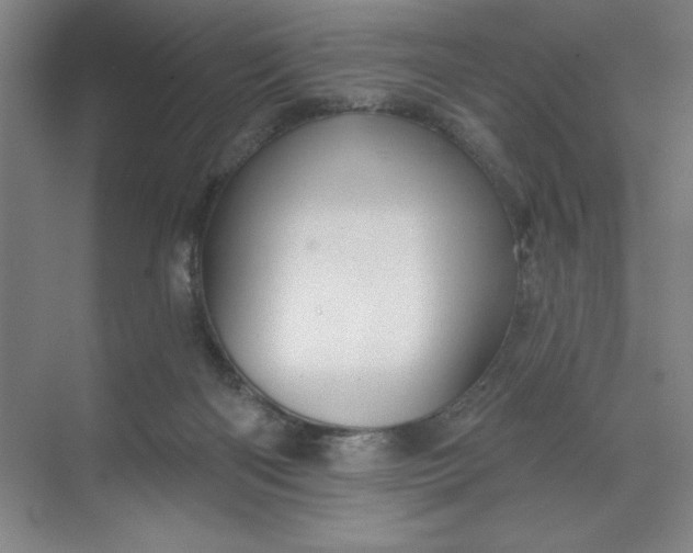 X0000068820122200605191843