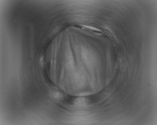 X0000068820123200605191843