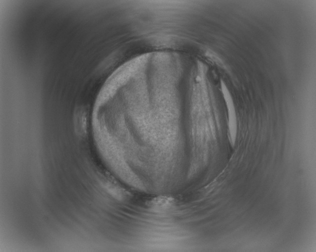 X0000068820124200605191843