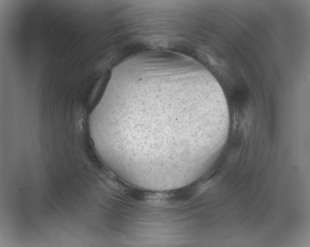 X0000068820125200605191843