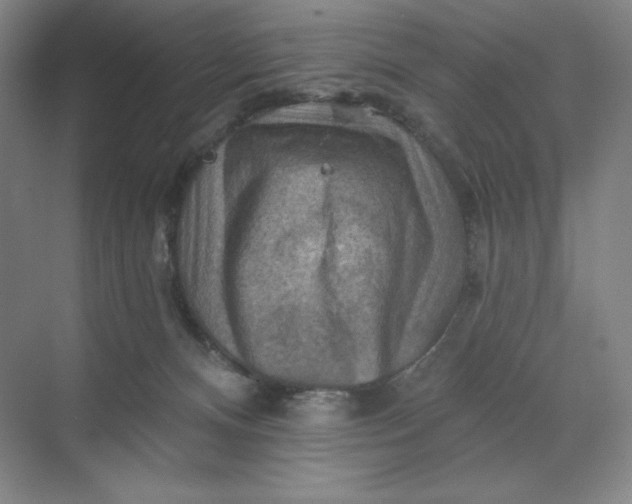 X0000068820128200605191843