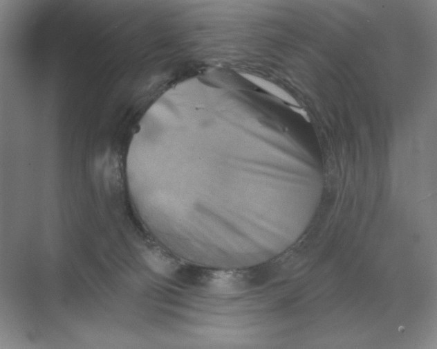 X0000068820130200605191843