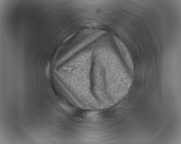 X0000068820132200605191843