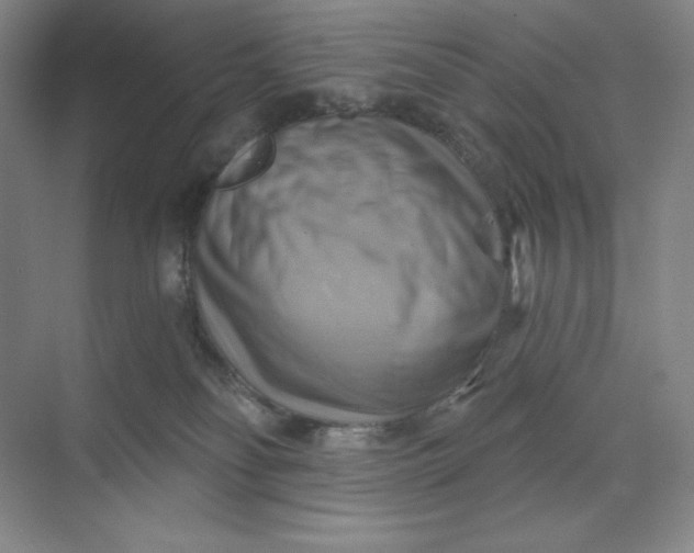 X0000068820134200605191843