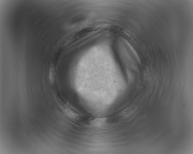 X0000068820138200605191843