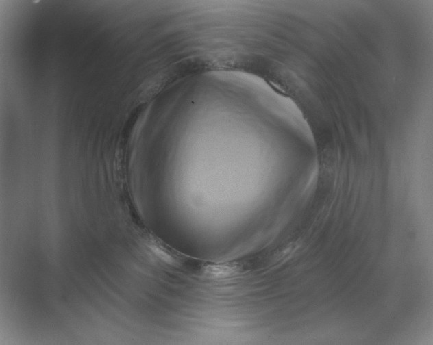 X0000068820139200605191843