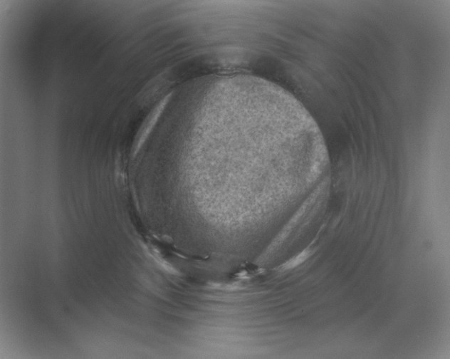 X0000068820140200605191843