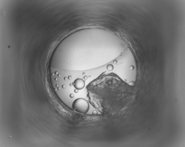 X0000068820145200605191842