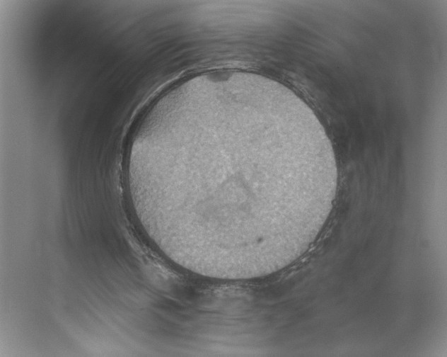 X0000068820146200605191842