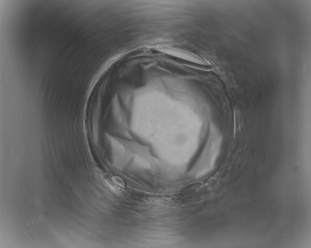 X0000068820147200605191842