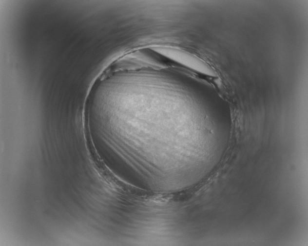 X0000068820148200605191842