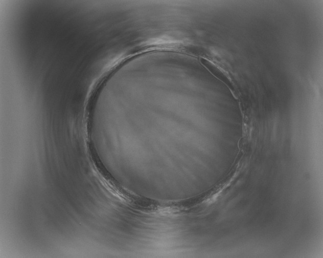 X0000068820149200605191842