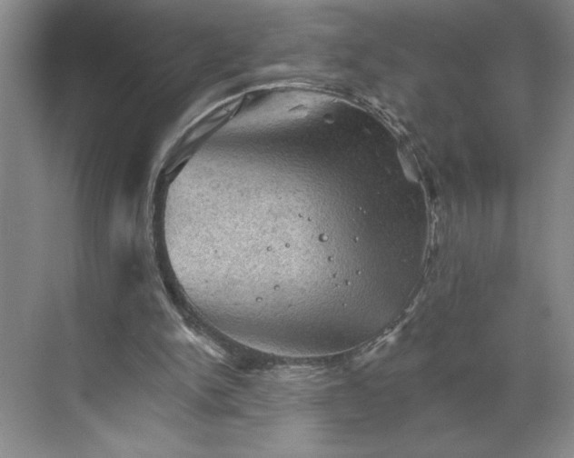 X0000068820150200605191842