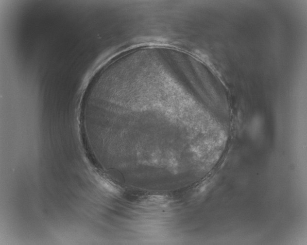 X0000068820151200605191842