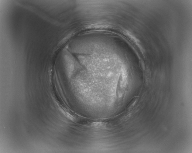 X0000068820153200605191842