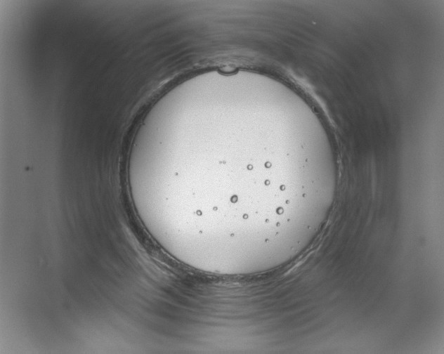 X0000068820154200605191842