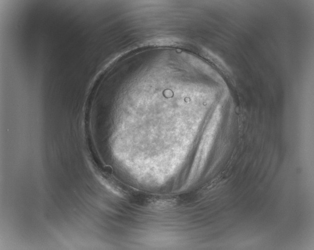 X0000068820155200605191842