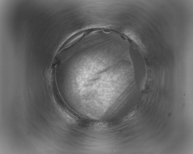 X0000068820156200605191842