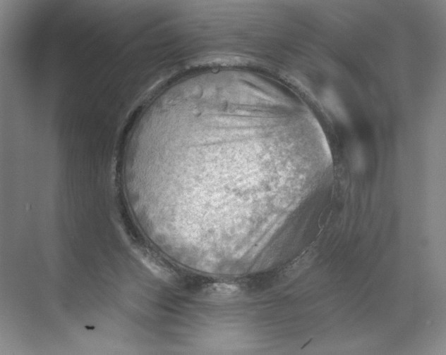 X0000068820159200605191842