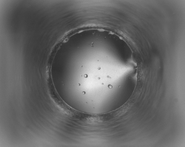 X0000068820160200605191842