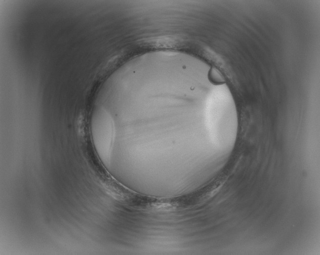 X0000068820161200605191842