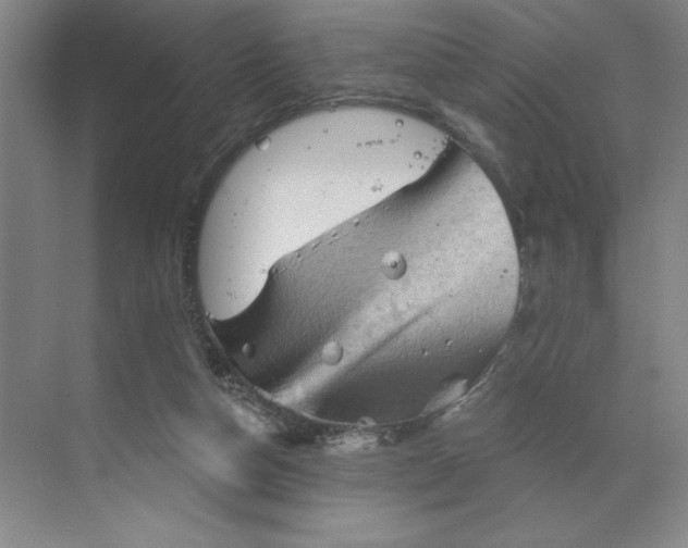 X0000068820162200605191842