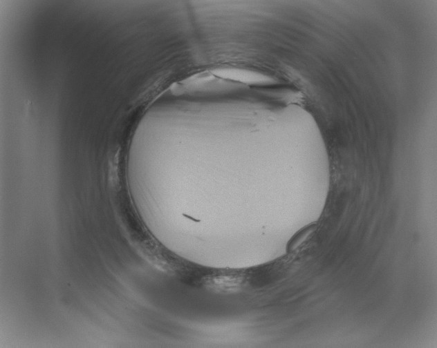 X0000068820163200605191842