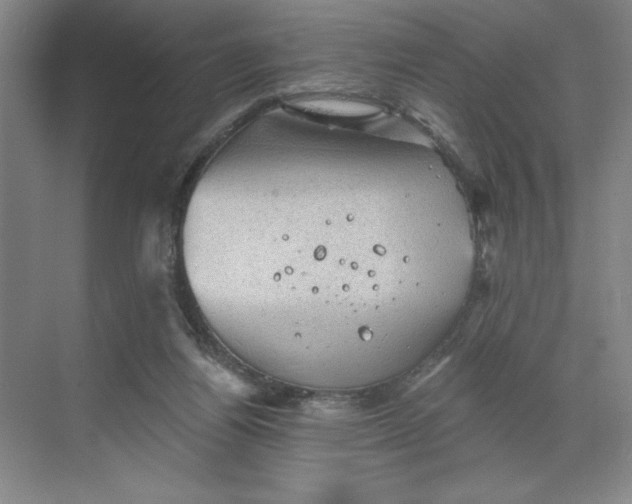 X0000068820164200605191842