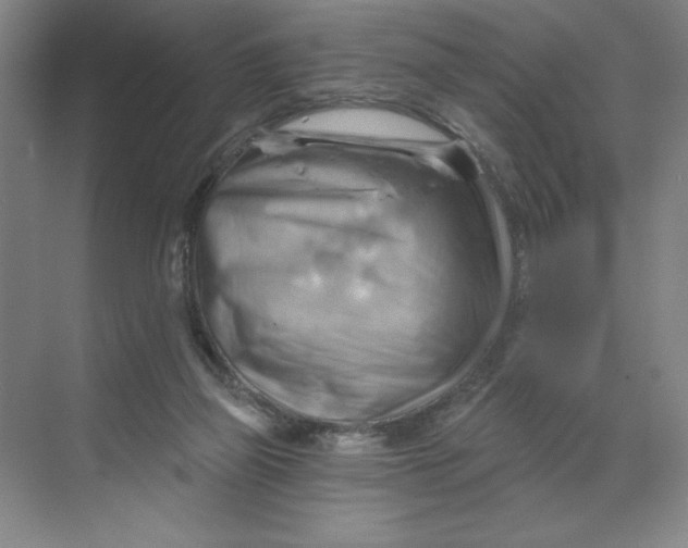 X0000068820165200605191842