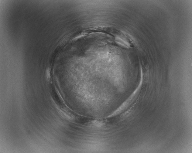 X0000068820166200605191842