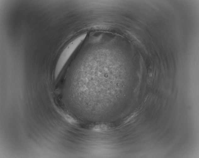 X0000068820168200605191842