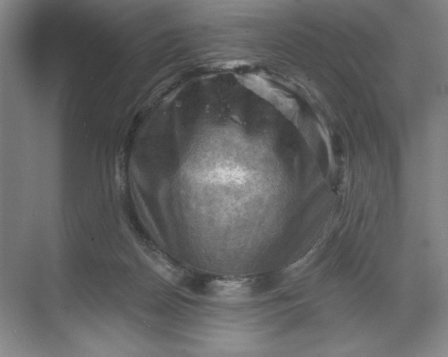 X0000068820170200605191842