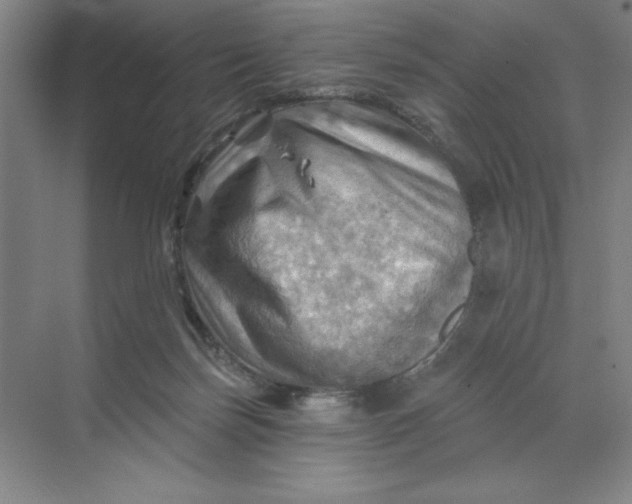 X0000068820171200605191842