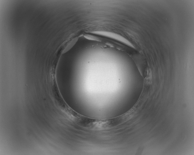 X0000068820172200605191842