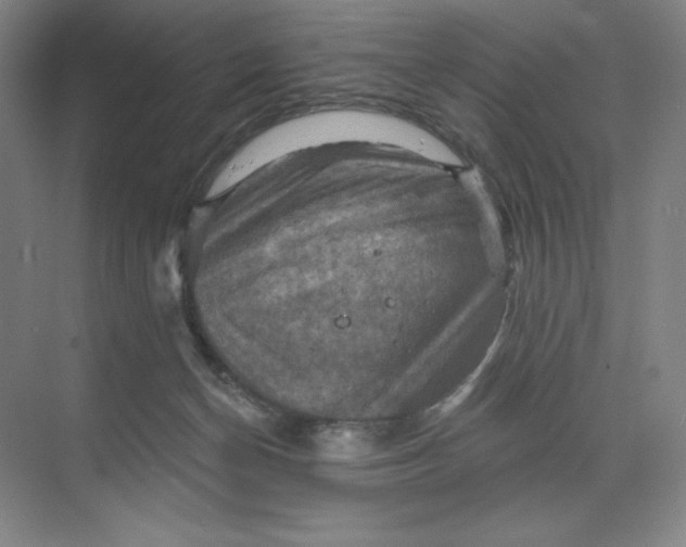 X0000068820174200605191842