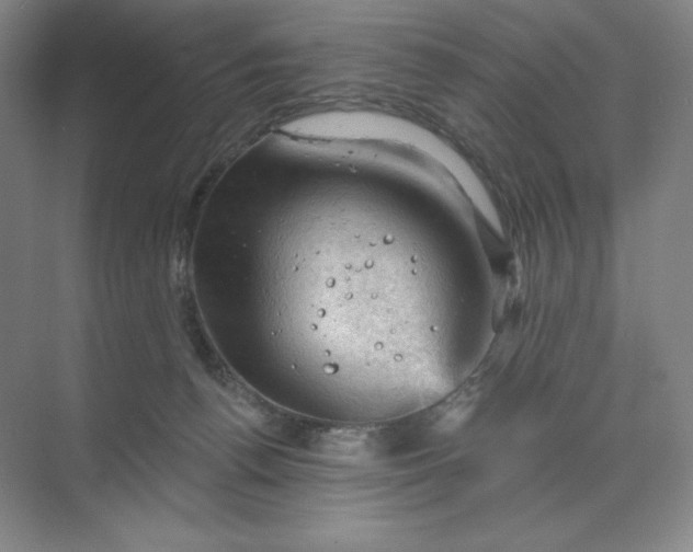 X0000068820176200605191842