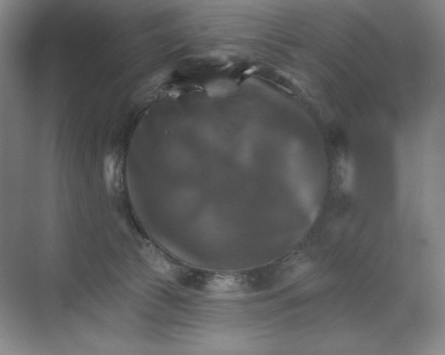 X0000068820177200605191842