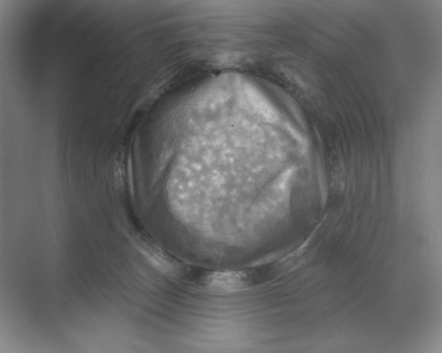 X0000068820179200605191842