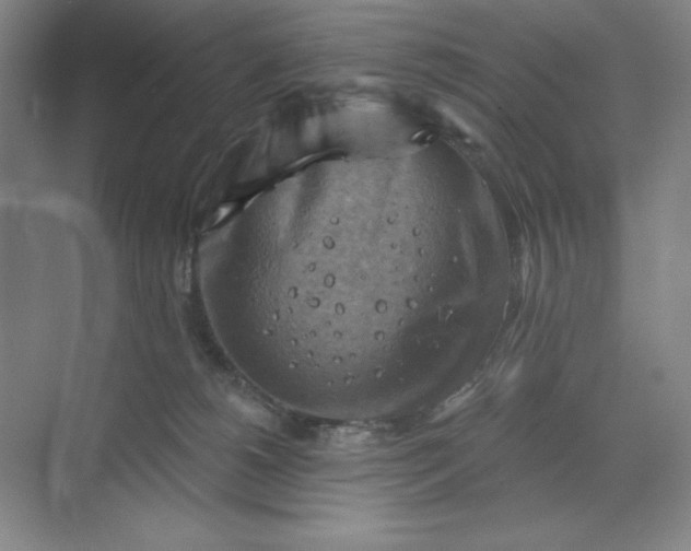 X0000068820180200605191842