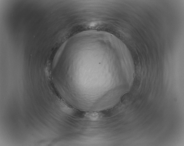 X0000068820181200605191842