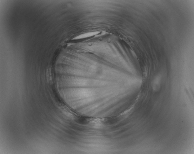 X0000068820182200605191842