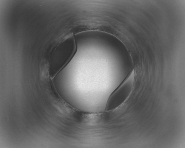 X0000068820184200605191842