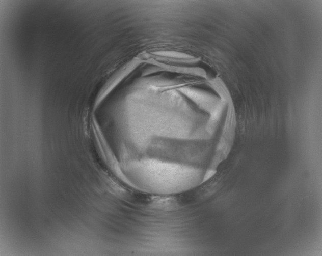 X0000068820185200605191842