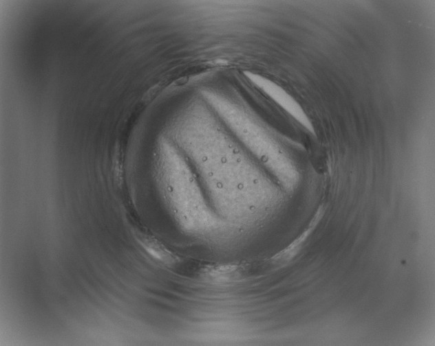 X0000068820186200605191842