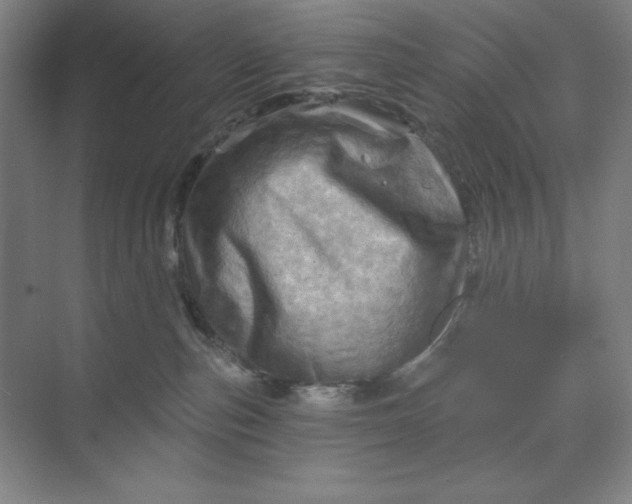 X0000068820187200605191842