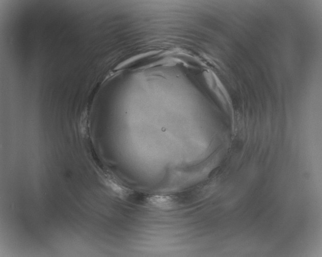 X0000068820189200605191843