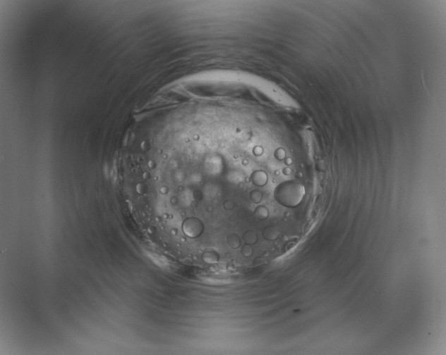 X0000068820191200605191843