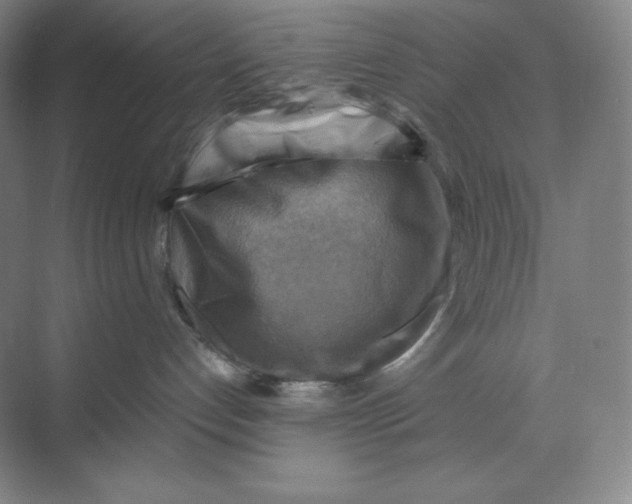 X0000068820192200605191843