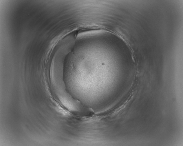 X0000068820193200605191842